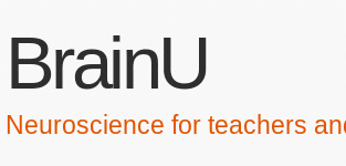 Free Neuroscience lesson plans for teachers and their students