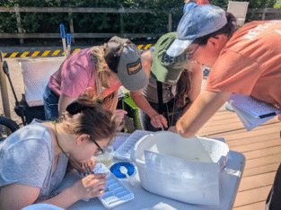 Minnesota Zoo’s Wetland Conservation Workshop: K-5 Teacher Training and Student Conservation Action Project